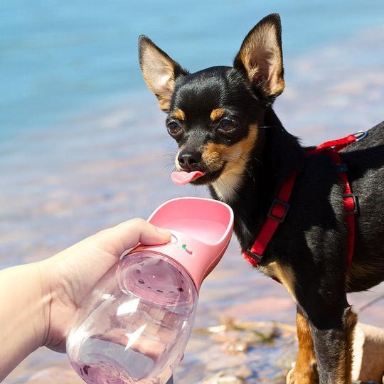 Sirenzi™ Tragbare Wasserflasche