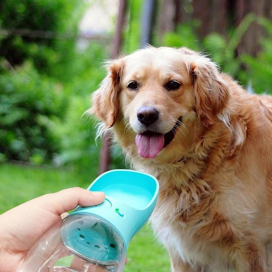 Sirenzi™ Tragbare Wasserflasche